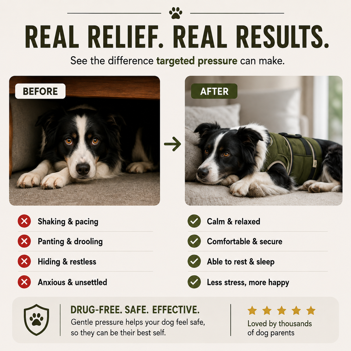 Dog Anxiety Vest